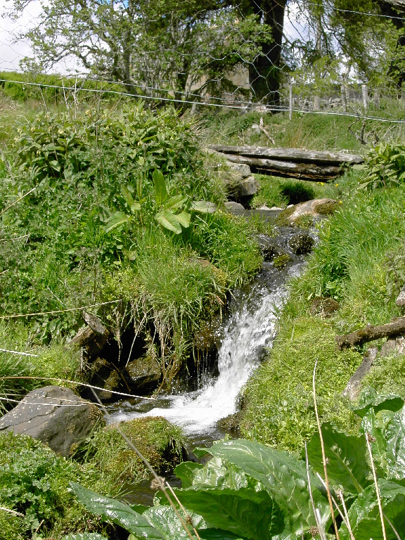 Picture of Aldivalloch Burn, Upper Cabrach