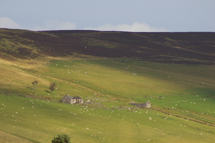 Picture of Bank Farm, Cabrach