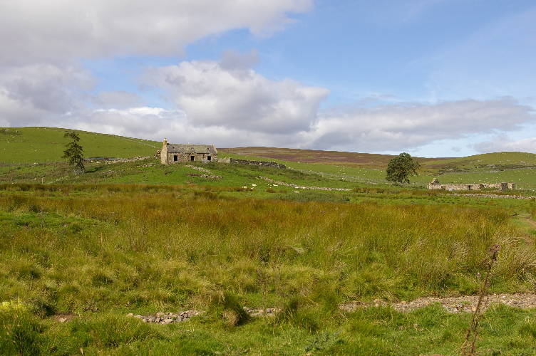 Picture of The Gauch, Cabrach