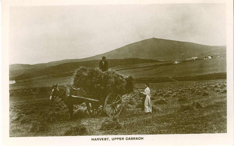 Postcard of Harvest, Upper Cabrach.