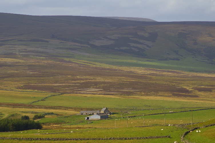 Picture of Powneed, Cabrach