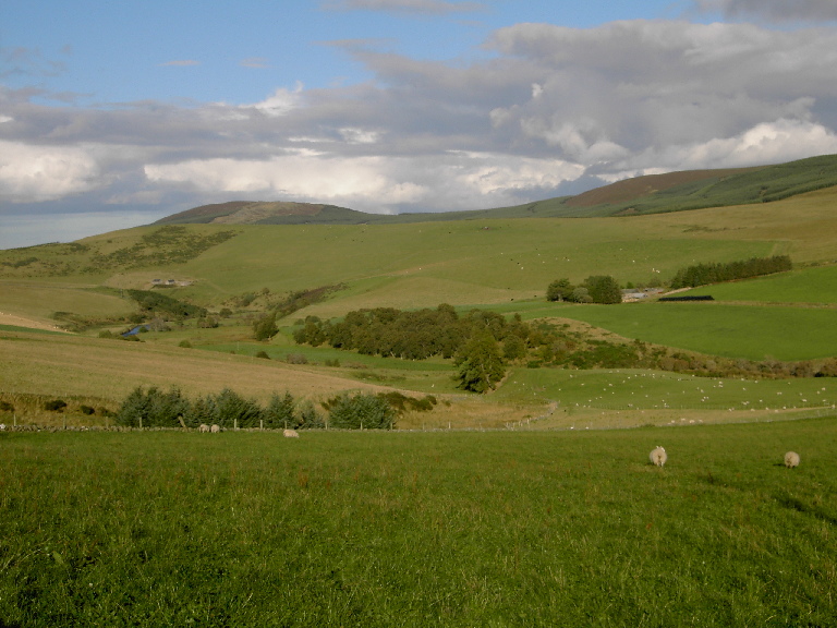 Picture of Tomnaven, Cabrach